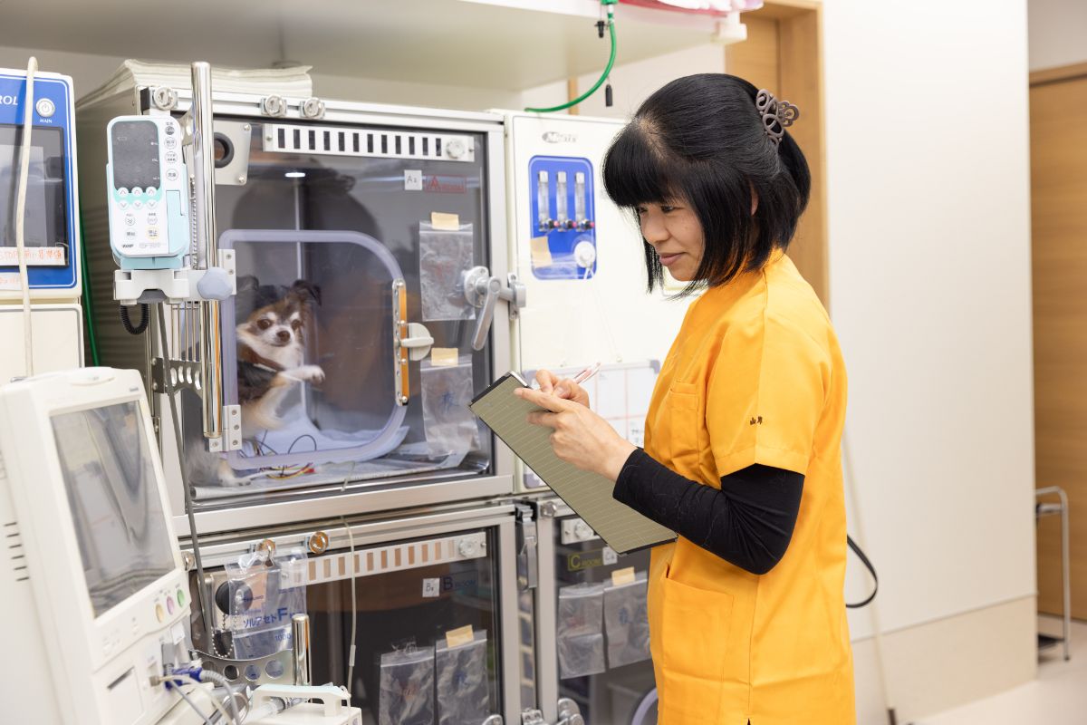 スライダー画像1