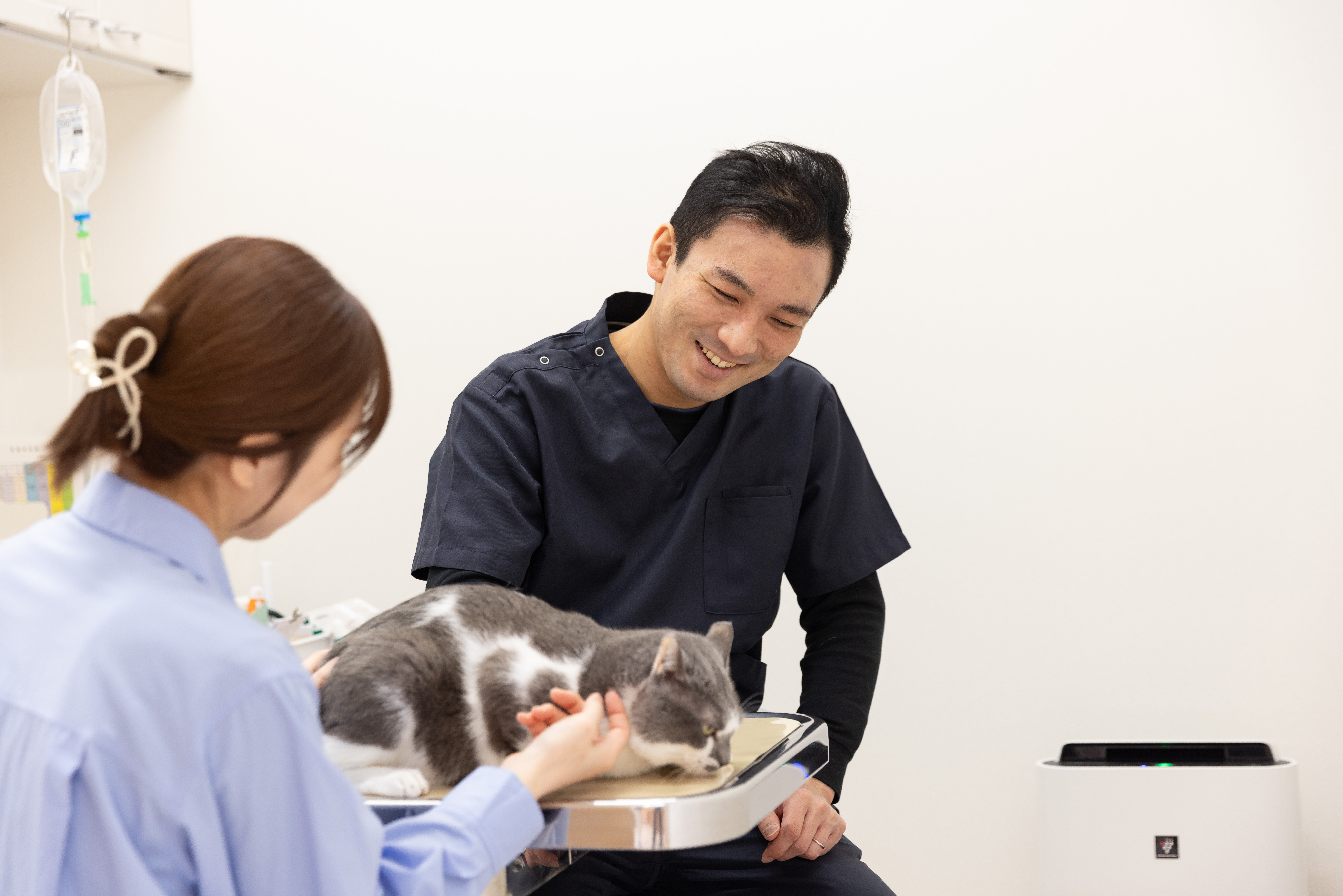 スライダー画像3