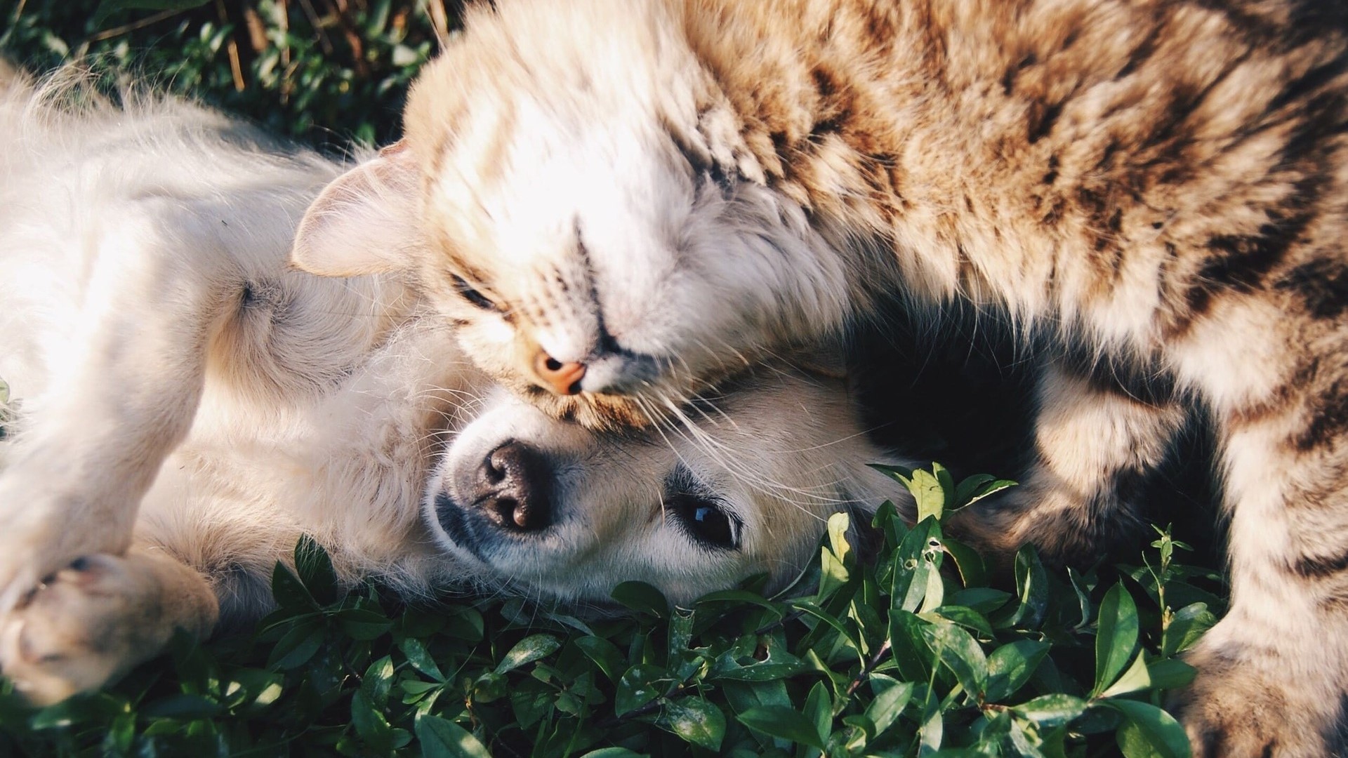 【No.１】健康診断って必要？どんなことをするの？