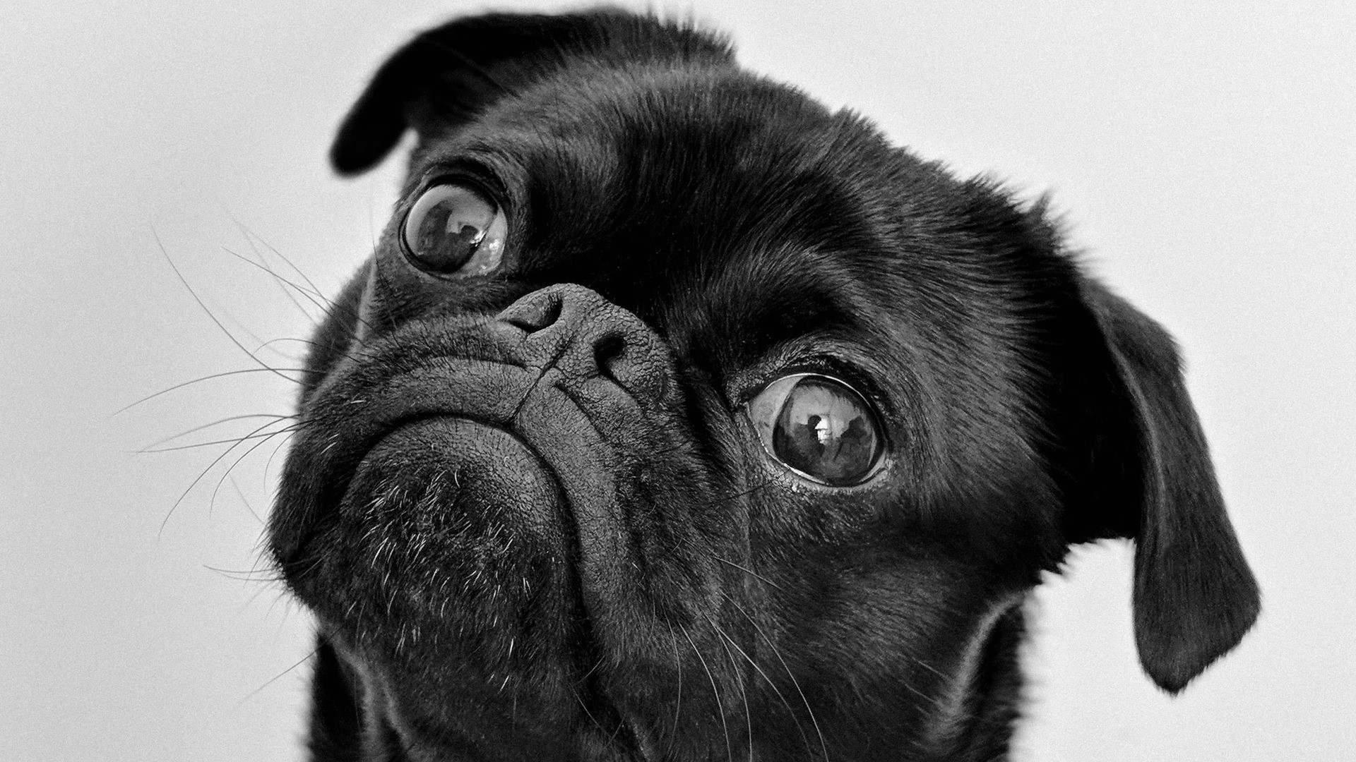 【No.３】夏前なのに熱中症に要注意⁉︎予防と対策とは?