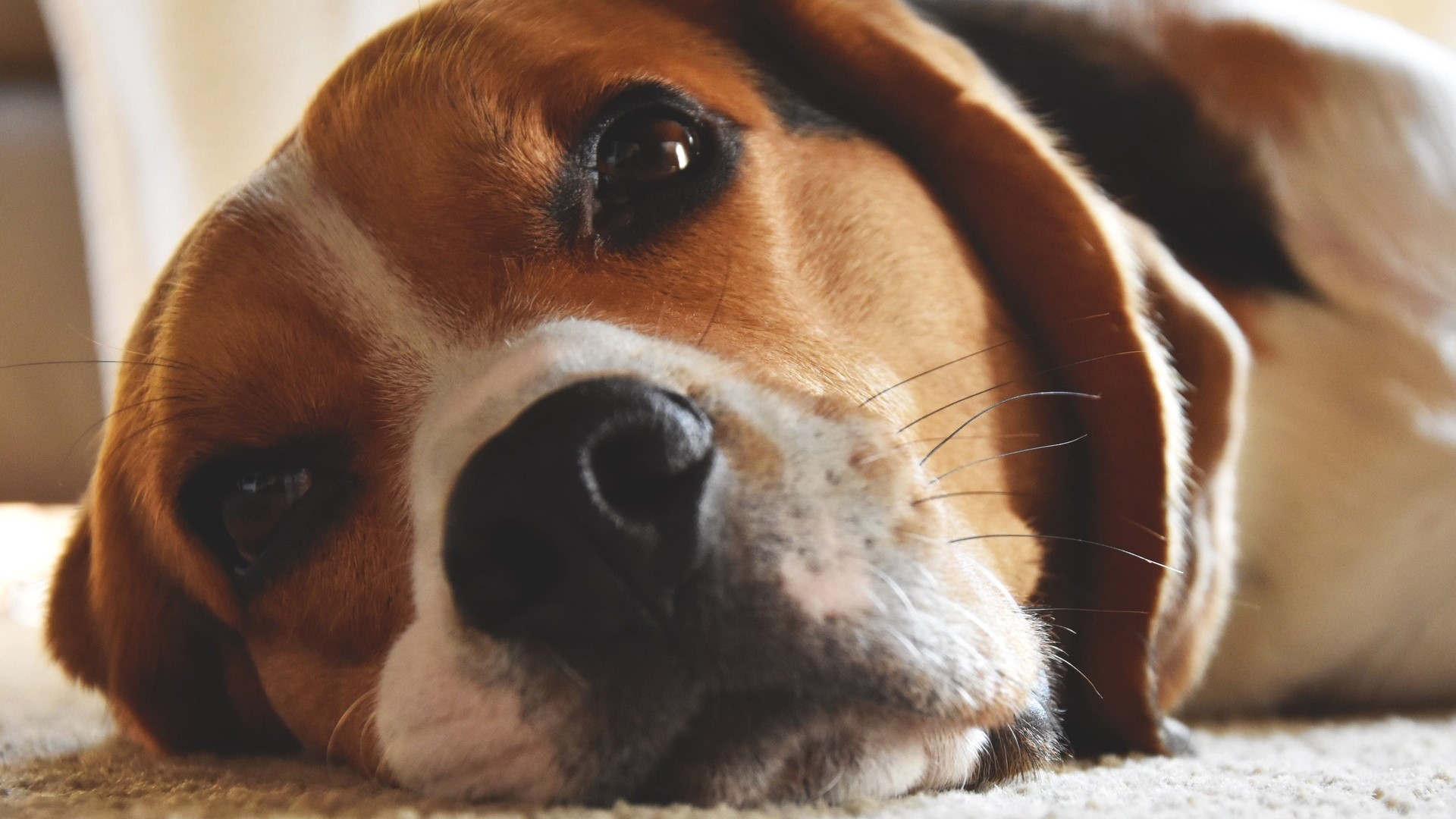 【No.12】発作が起きた！その時どうすればよい？